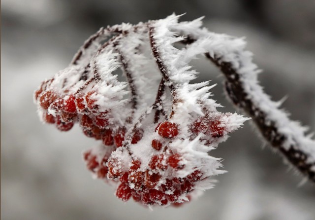 Pogoda w woj. lubelskim zmieni się wkrótce na bardziej zimową