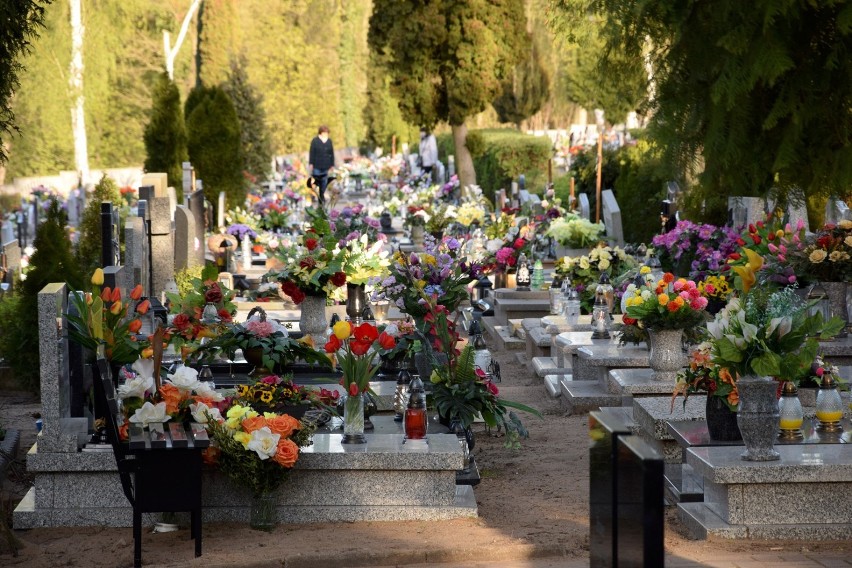Cmentarz w Chodzieży w wiosenne popołudnie. Spokój i zaduma [ZDJĘCIA]