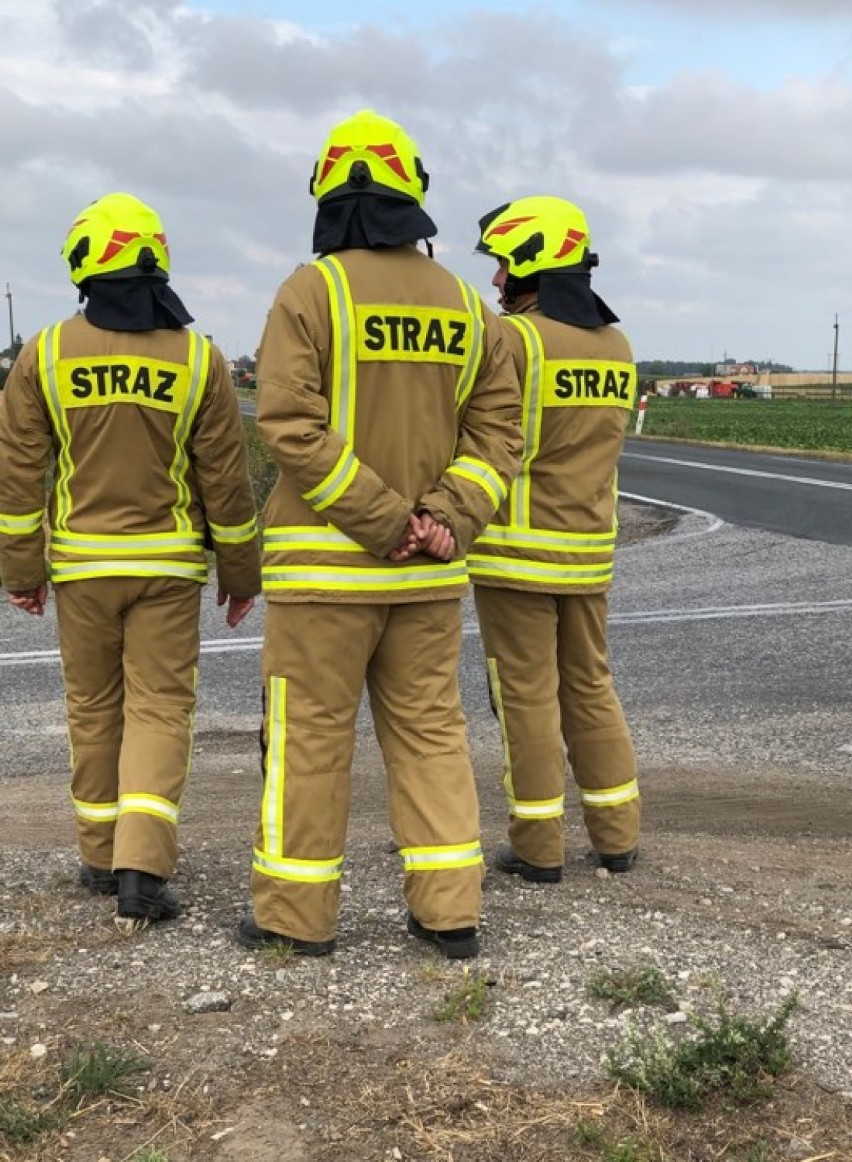 Wypadek na drodze Włocławek - Radziejów. Pijany kierowca uciekł i ukrył się w kukurydzy [zdjęcia]