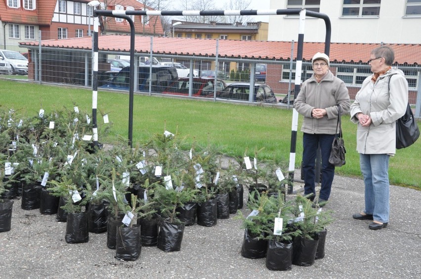 &quot;Drzewko za makulaturę&quot; 2013 w Sierakowicach - zebraliśmy aż 3 tony