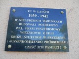 Krynica Morska. Upamiętnili tragiczny los więźniów podobozu. Złożyli kwiaty w Przebrnie