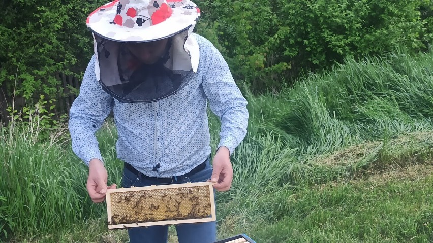 Akademia Kaliska uruchomiła własną pasiekę