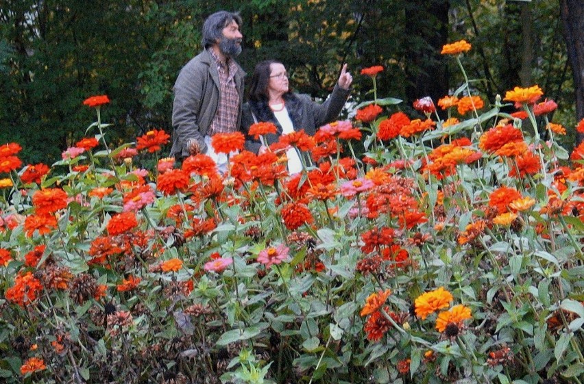 Ogród Botaniczny w Zabrzu
Ogród otwarto w 1938 roku....