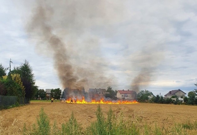 93-letnia mieszkanka wsi chciała spalić chwasty wyrwane z ogródka. Od ogniska zajęło się jednak sąsiednie ściernisko. Do pożaru doszło w centrum wsi, a pole z trzech stron otoczone jest budynkami mieszkalnymi. Z pomocą ruszyli mieszkańcy, którzy odprowadzili starszą panią w bezpieczne miejsce i poradzili sobie z pożarem.