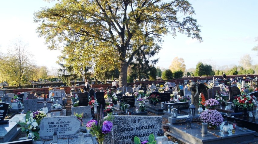 Od wtorku możemy odwiedzać bliskich na cmentarzach