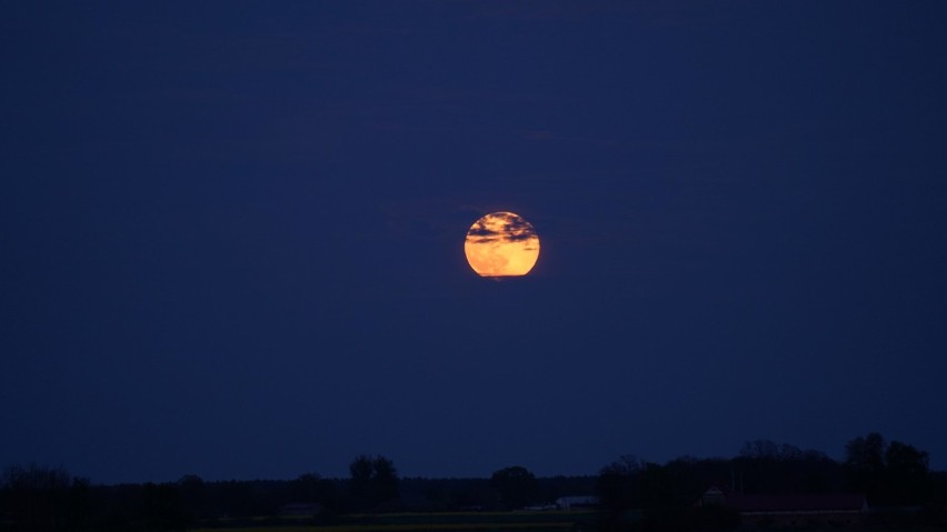 Za nami ostatnia w tym roku superpełnia. Pełnia Księżyca, która ozdobiła niebo 7 maja, nosi nazwę Kwiatowej.  