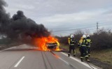 Pożar samochodu osobowego na A4 w pobliżu Mikołajowic, zobaczcie zdjęcia