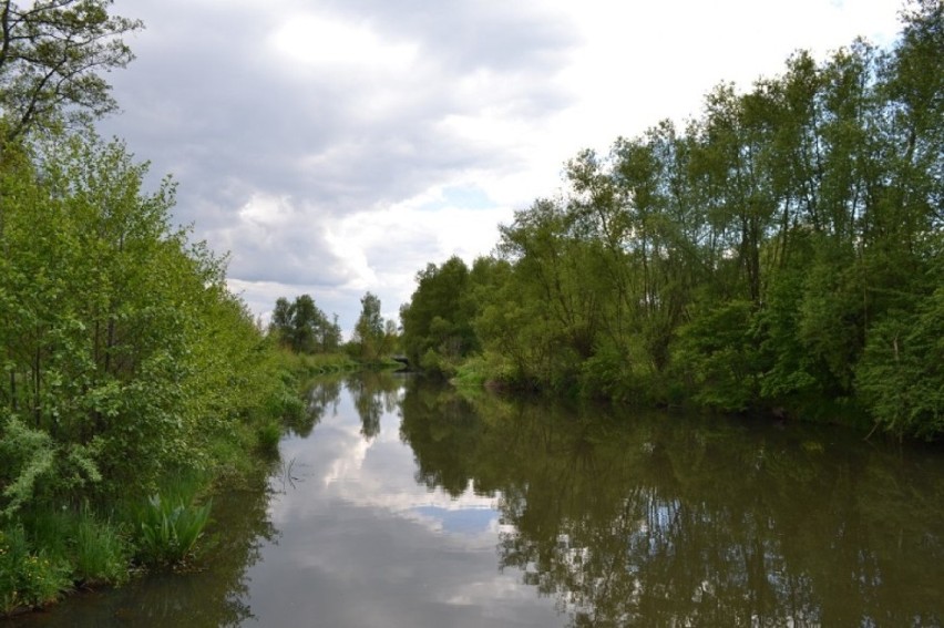 Rozbierają młyn w Krzepicach [FOTO]