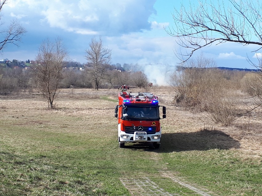 Pożar traw na osiedlu Gądki w Jaśle. Strażacy musieli gasić podpalone nieużytki przy Wisłoce [ZDJĘCIA]