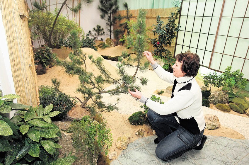 Ogród japoński został urządzony na wzór ogrodu Srebrnego...