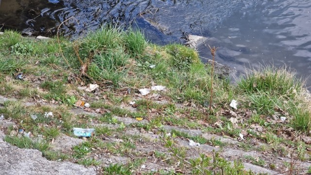 W korycie Silnicy leży pełno śmieci. 
Zobacz na kolejnych zdjęciach jak wygląda  rzeka w centrum miasta