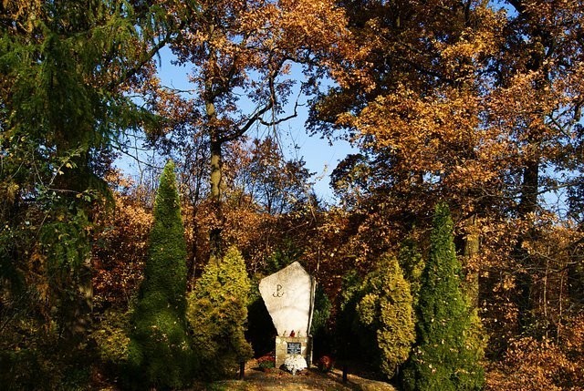 Jesień w parku na Lipowicy w Przemyślu