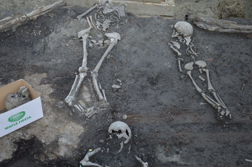 Trzy szkielety, znalezione metr pod poziomem płyty Rynku w...