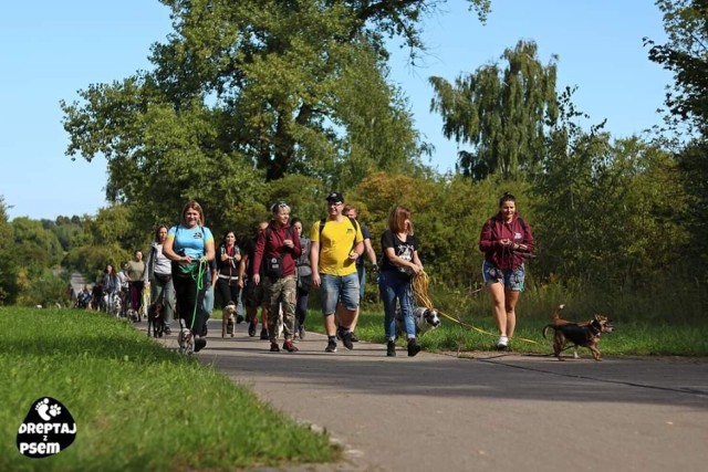 Geosfera Gródek Jaworzno urodzinowe dreptanie na 480 łap