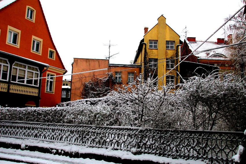 23 stycznia 2015 w Zielonej Górze pojawił się śnieg (zdjęcia)