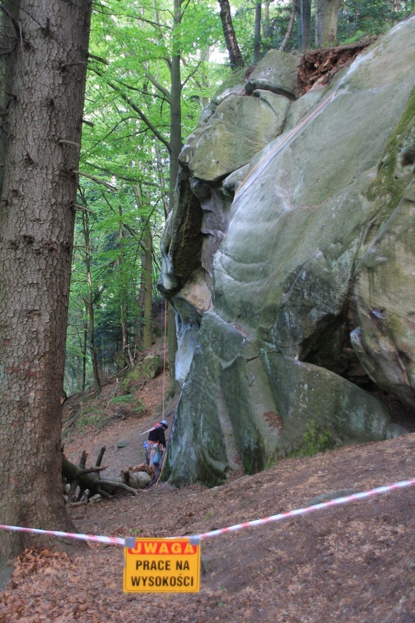 W Czarnorzekach w sąsiedztwie rezerwatu Prządki wytyczane są bezpieczne trasy do wspinaczki skałkowej [ZDJĘCIA]