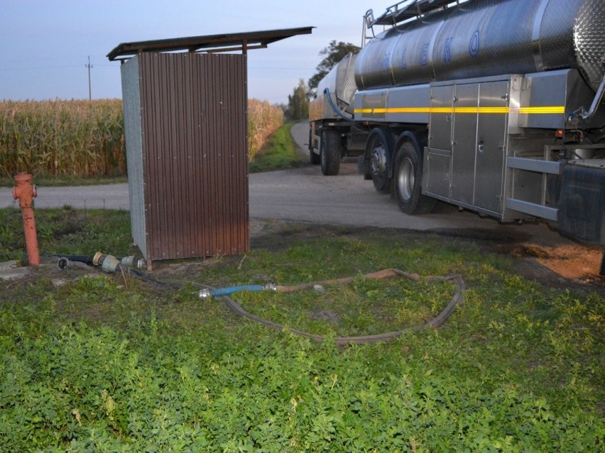 Policjanci, pracujący nad tą sprawą, ustalili, że ten...