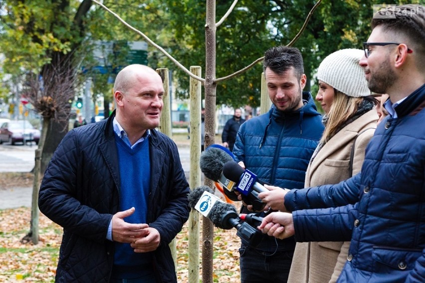 Ostatnie drzewo posadzone. Koniec jesiennej edycji programu Platan [ZDJĘCIA, WIDEO]                              