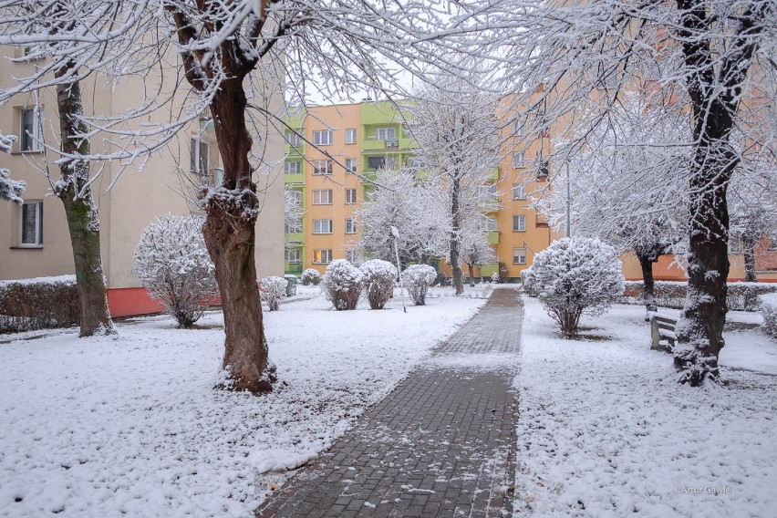 Zima w Tarnowie. Tarnów przykryty kołderką białego puchu. Pierwszy śnieg w Tarnowie spadł już w listopadzie. [DUŻO ZDJĘĆ]