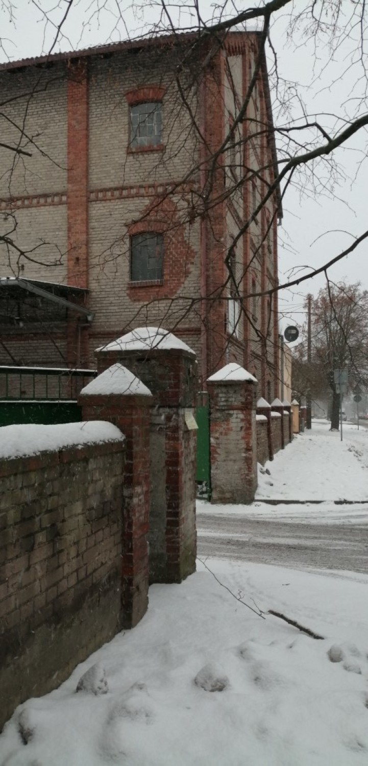 Spacer zimą po Pruszczu Gdańskim. Zasypało i zaśnieżyło - przysypane śniegiem ulice, młyn, kościół i park tworzą zimowy klimat |ZDJĘCIA