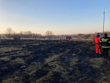Zaczarnie. Makabryczne odkrycie podczas gaszenia pożaru traw pod Tarnowem. Strażacy znaleźli zwęglone ciało 