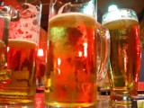 Puby w Poznaniu - gdzie studenci lubią wpaść na piwo?