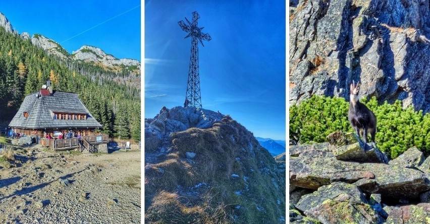 Giewont. Jesienna wycieczka na Śpiącego Rycerza. Szansa na niezwykłe widoki i bliskie obcowanie z naturą 