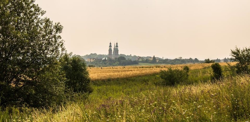 Na 8. miejscu Piekary Śląskie z liczbą 1,6 tys....