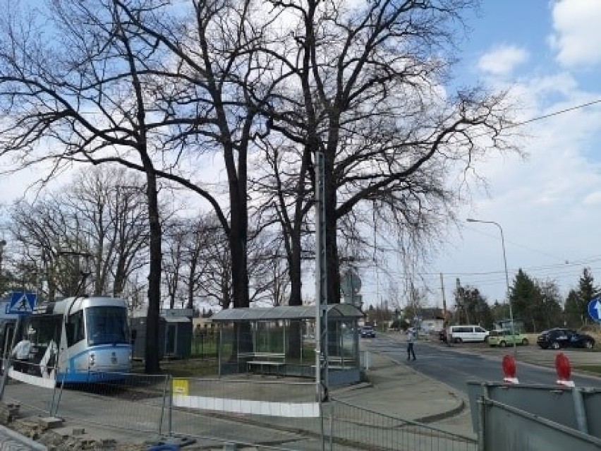 Wrocław. Remont pętli tramwajowej na Osobowicach. Będą nowe tory i trakcja