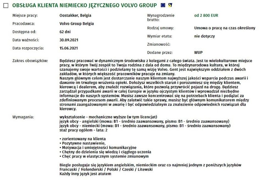 Nie boisz się pracy za granicą? Możesz zarobić nawet kilkaset tysięcy złotych miesięcznie. Takie są oferty z najwyższymi zarobkami [TOP 20]