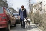 Dąbrowa Górnicza opłata za psa: ani podatku, ani opłaty nie będzie