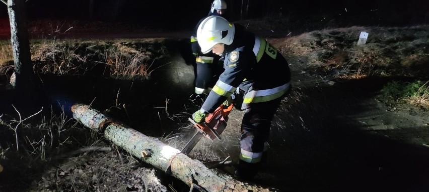 Alert pogodowy dla Lubuskiego. Znów czekają nas silne wiatry