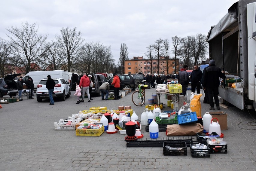 Targ zwierzęcy w Sławnie