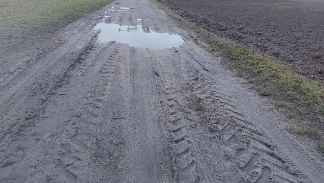 Tak wygląda jedna z dróg koło Dalęcina