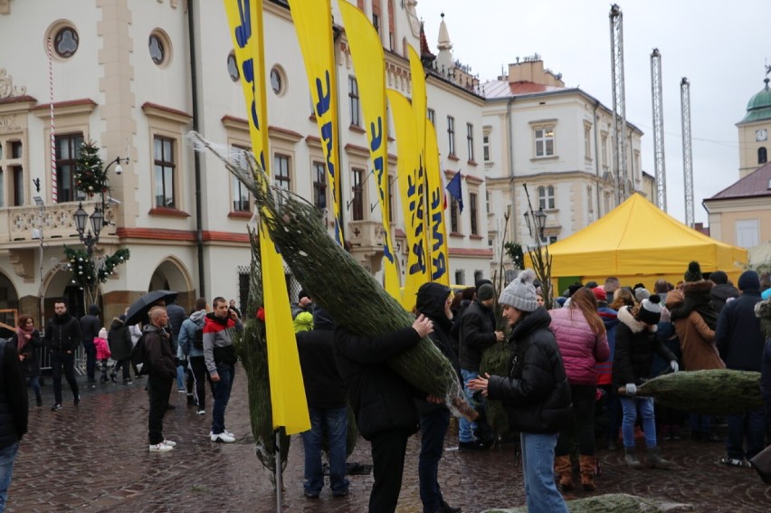 „Choinki pod choinkę” RMF FM zawitają do Łomży