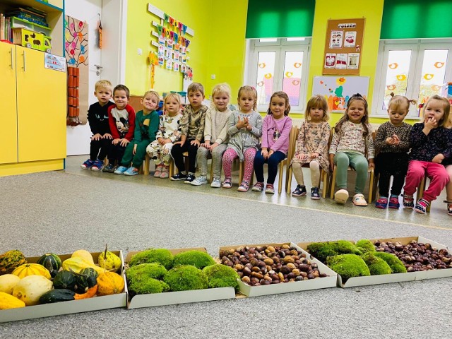 Dzieci miały okazje doznań podczas ,,Jesiennej ścieżki sensorycznej” - zabawy sensoryczne z wykorzystaniem darów jesieni.