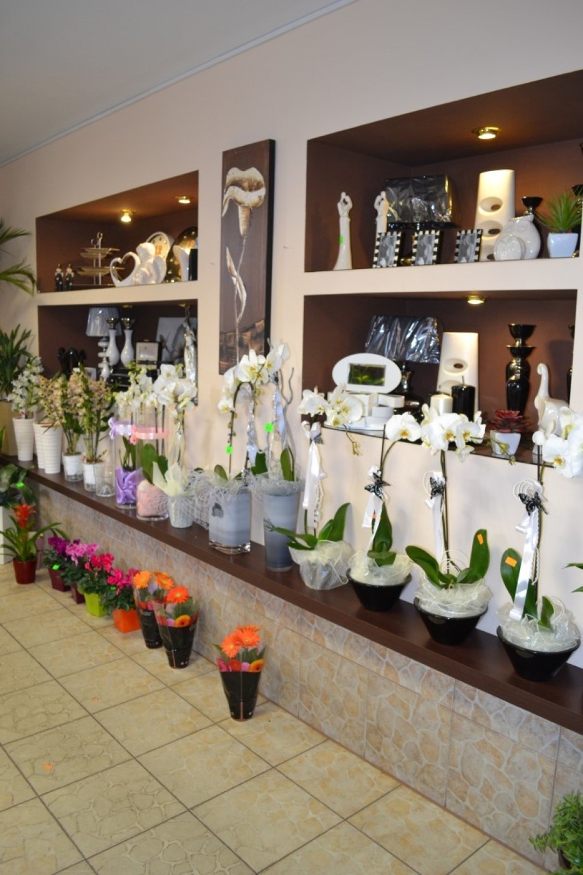 Mistrzowie Handlu 2015 - Kwiaciarnia Roku - Kwiaciarnia Świat Kwiatów w Sierakowicach