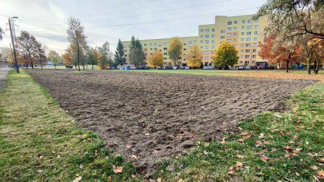 Ogromna łąka kwietna powstanie na osiedlu Mydlice w Dąbrowie Górniczej

Zobacz kolejne zdjęcia/plansze. Przesuwaj zdjęcia w prawo - naciśnij strzałkę lub przycisk NASTĘPNE