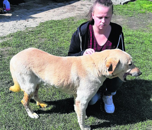 Cezar powoli dochodzi do zdrowia pod troskliwą opieką właścicieli