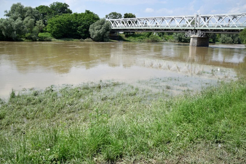 ZOBACZ TEŻ:  Wysoki poziom wody na Wisłoku w Rzeszowie. Most...