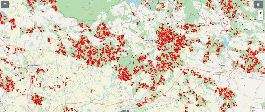 Lasy koło Oleśnicy przeznaczone do wycinki. Powstała szczegółowa mapa (ZDJĘCIA)