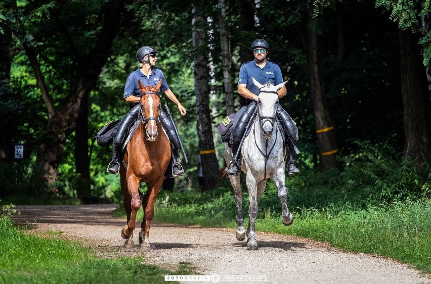 100 Parkrun w Lesie Aniołowskim w Częstochowie. Na starcie...