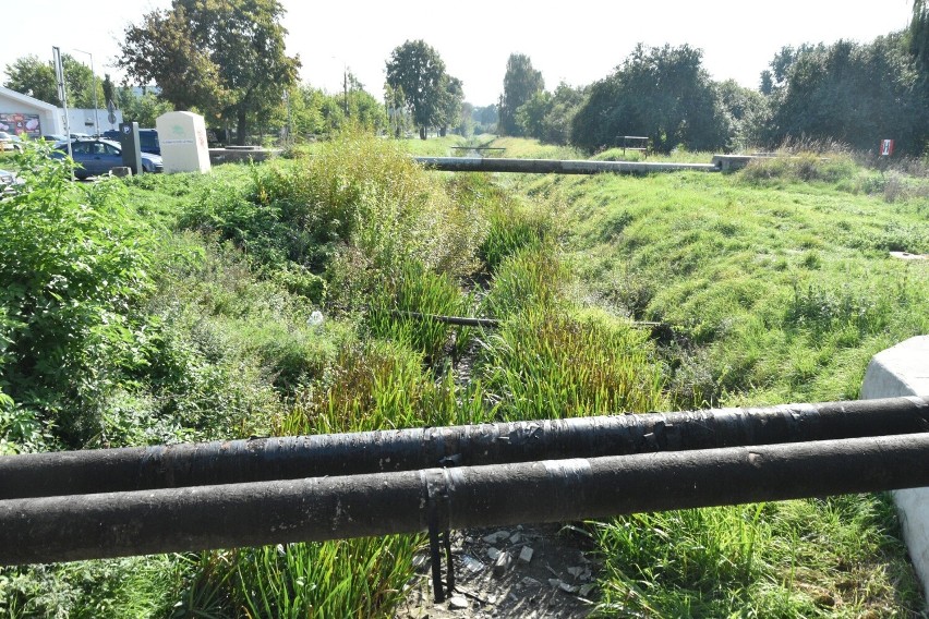 Sucho w Kanale Juranda w Malborku