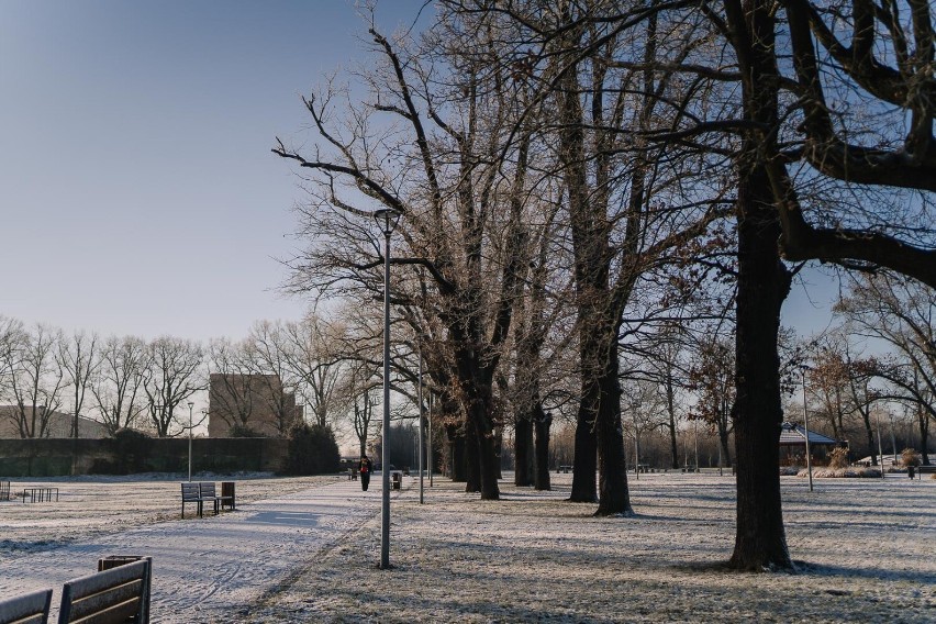 Zimowy spacer na osiedlu Moniuszki w Żarach