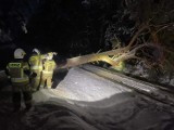 Tor kolejowy w Helu zablokowany powalonym drzewem. To była trudna, kilkugodzinna akcja dla helskich strażaków | Nadmorska Kronika Policyjna