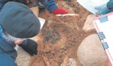 Skarszewy: Archeolodzy znaleźli grób kobiety [ZDJĘCIA]