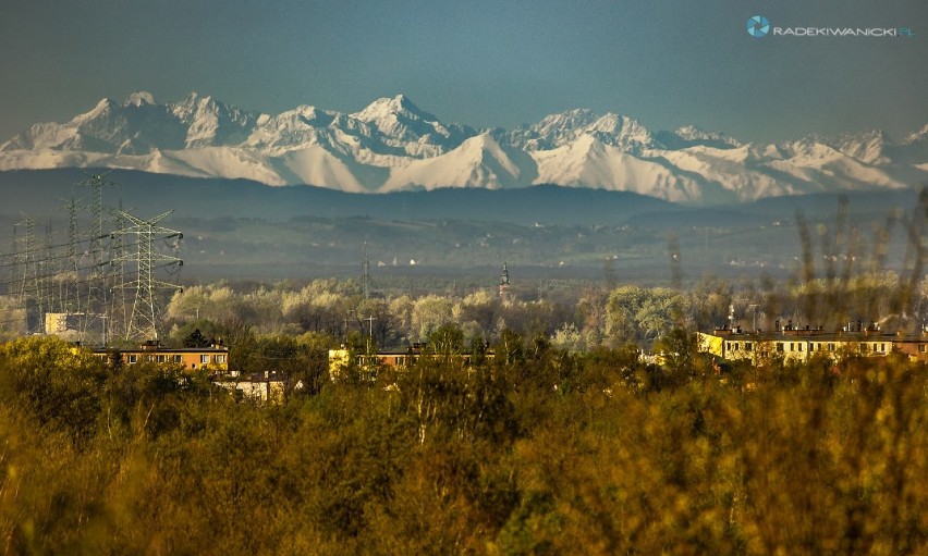 Tatry widziane z Odporyszowa. Na pierwszym planie Żabno i...