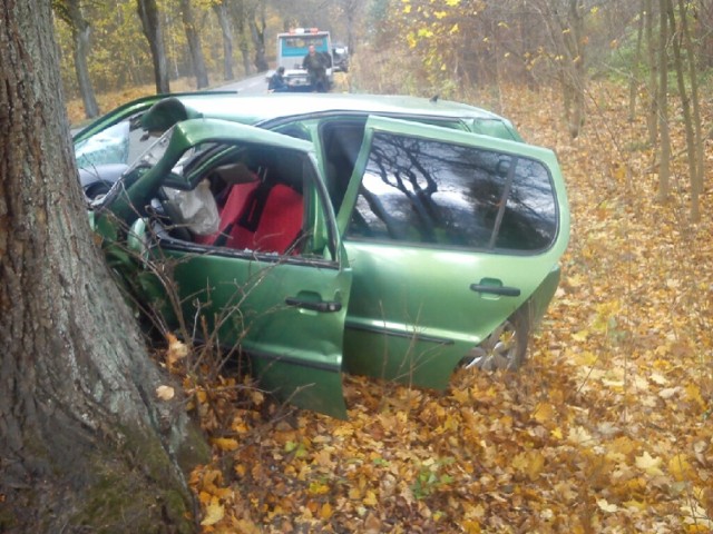 Wypadek w miejscowości Burkat. Jeleń uderzył w auto