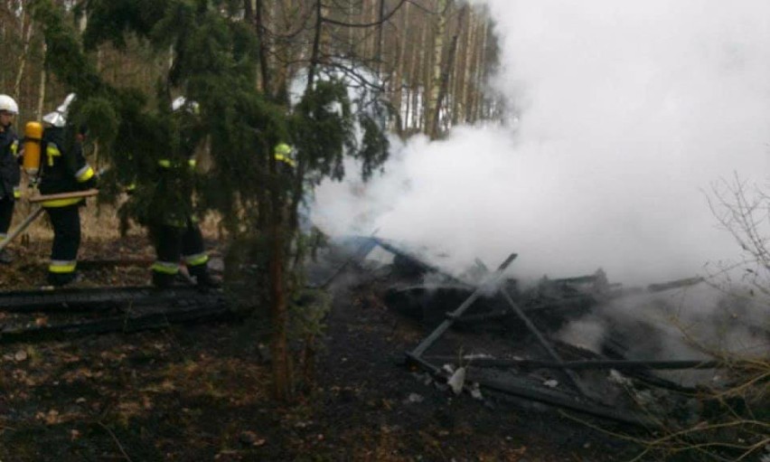 Nowa Wieś: Pożar domku letniskowego