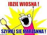 Idzie wiosna! Zobacz najśmieszniejsze memy i śmieszne obrazki [MEMY]